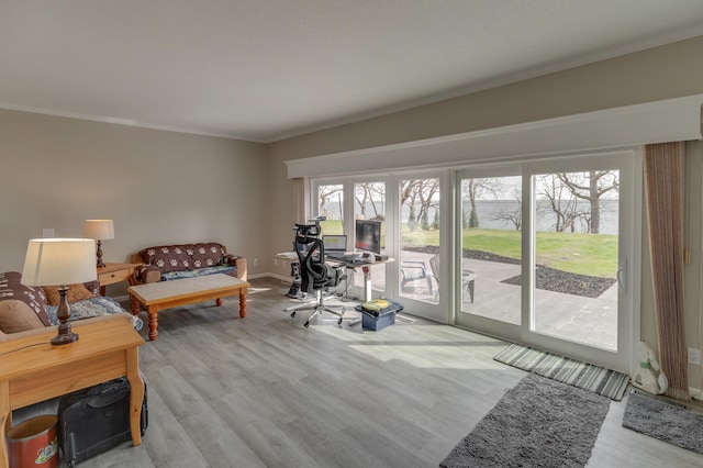 interior space with ornamental molding and light hardwood / wood-style flooring