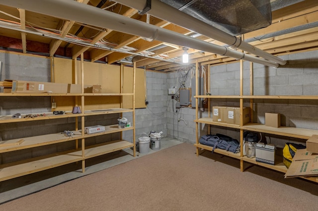 basement featuring carpet floors