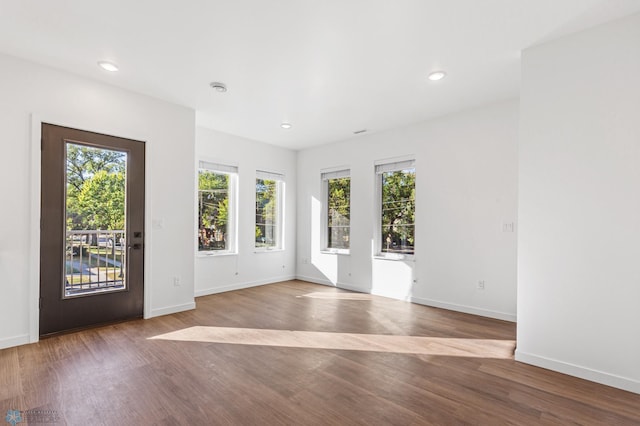 interior space with hardwood / wood-style floors and a healthy amount of sunlight