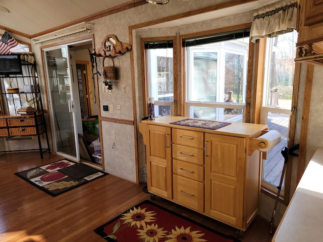 kitchen with dark hardwood / wood-style floors, crown molding, and a wealth of natural light