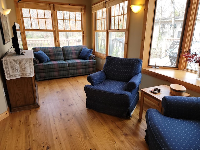 living room with wood-type flooring