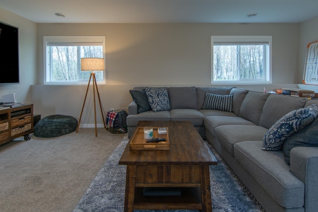 living room featuring baseboards and carpet flooring