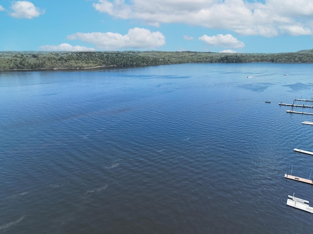 2179 River Rd S, Saint Marys Point, MN 55043 - photo 37