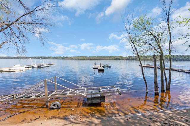 2179 River Rd S, Saint Marys Point, MN 55043 - photo 31