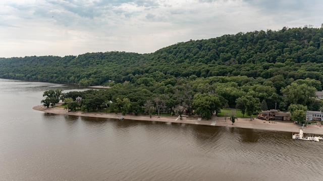 property view of water featuring a wooded view