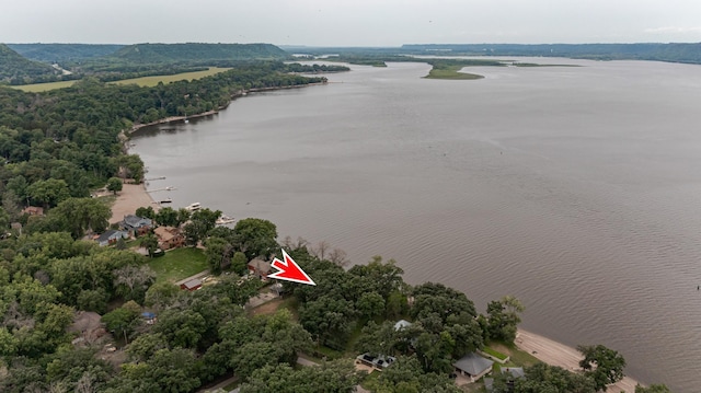 birds eye view of property with a water view and a forest view