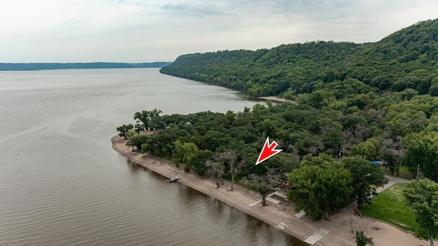 birds eye view of property featuring a water view and a view of trees