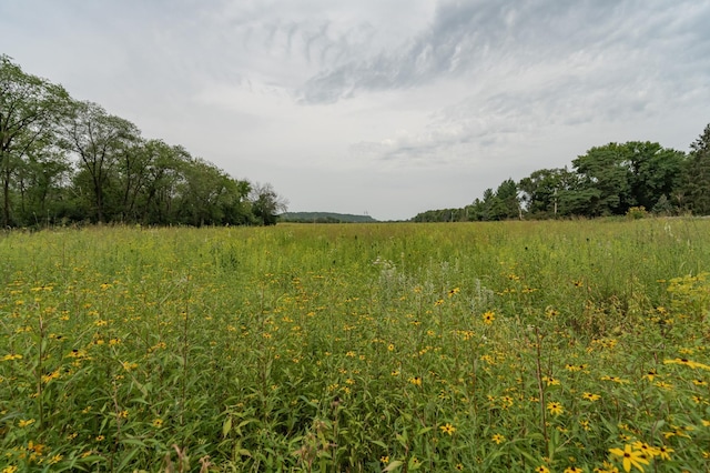 view of landscape featuring a rural view