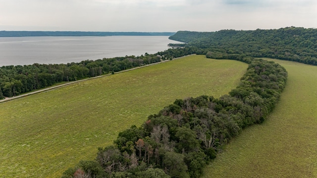 bird's eye view featuring a water view, a view of trees, and a rural view