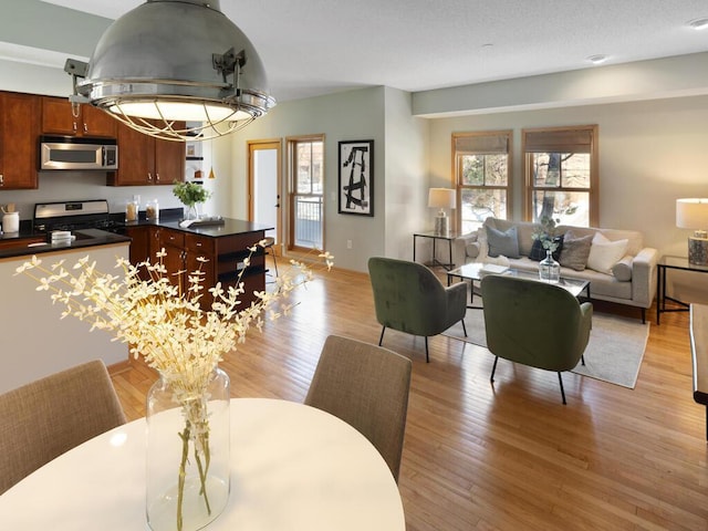 living room with light hardwood / wood-style floors and a wealth of natural light