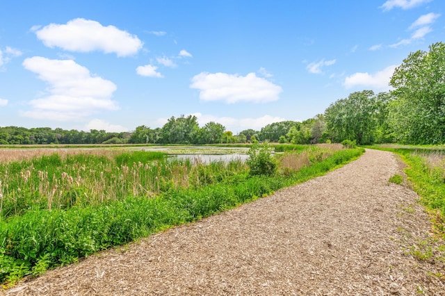 3706 90th St, Bloomington, MN 55431 - view of home's community with a water view and a forest view