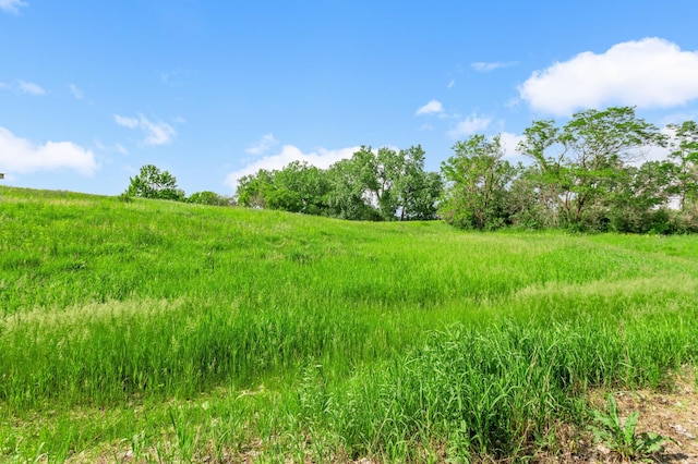 3706 90th St, Bloomington, MN 55431 - view of nature with rural landscape