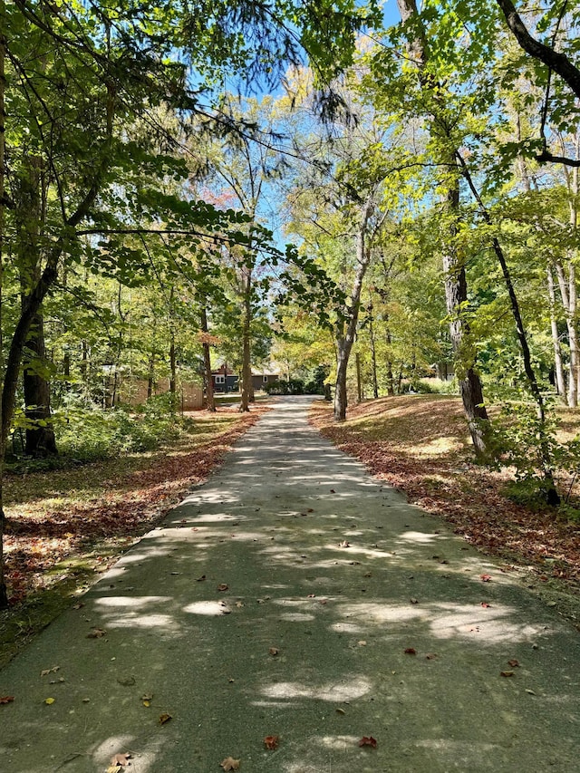 view of road featuring aphalt driveway