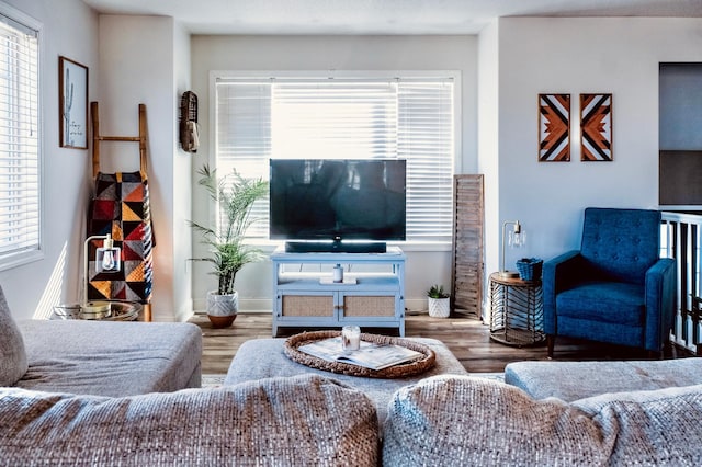 living room featuring a wealth of natural light and hardwood / wood-style flooring