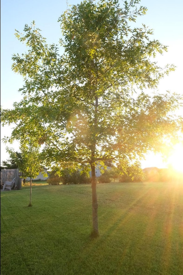 view of yard at dusk