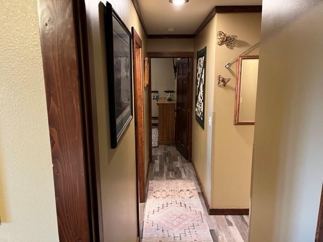 hallway with light wood-type flooring and ornamental molding