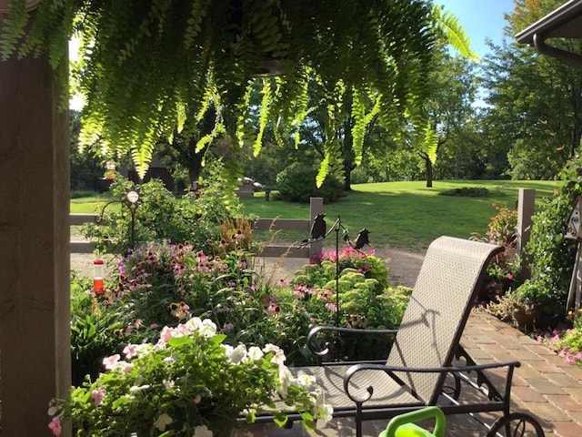 view of yard featuring a patio area