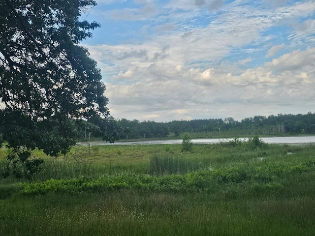 view of nature featuring a water view