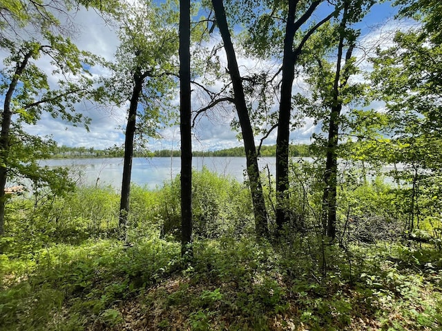 19080 Love Lake Rd, Brainerd MN, 56401 land for sale