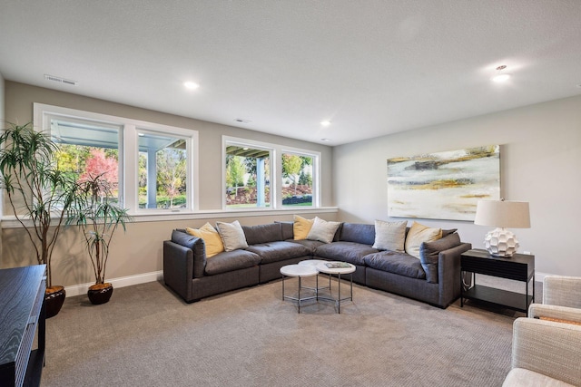 carpeted living room with a textured ceiling