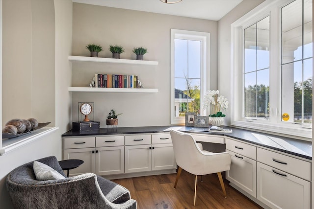 home office featuring dark hardwood / wood-style flooring and a healthy amount of sunlight