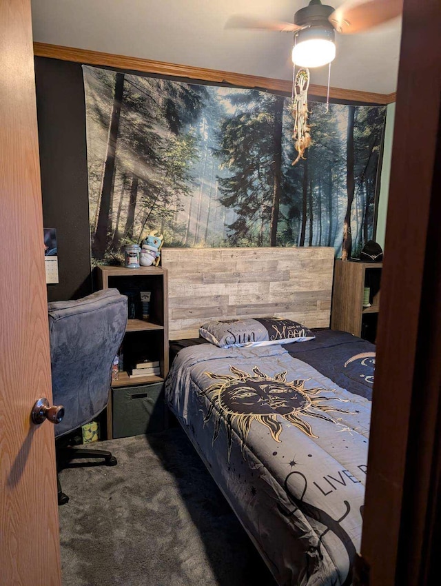 2013 Peregrine Pl NW, Stewartville, MN 55976 - carpeted bedroom featuring a ceiling fan