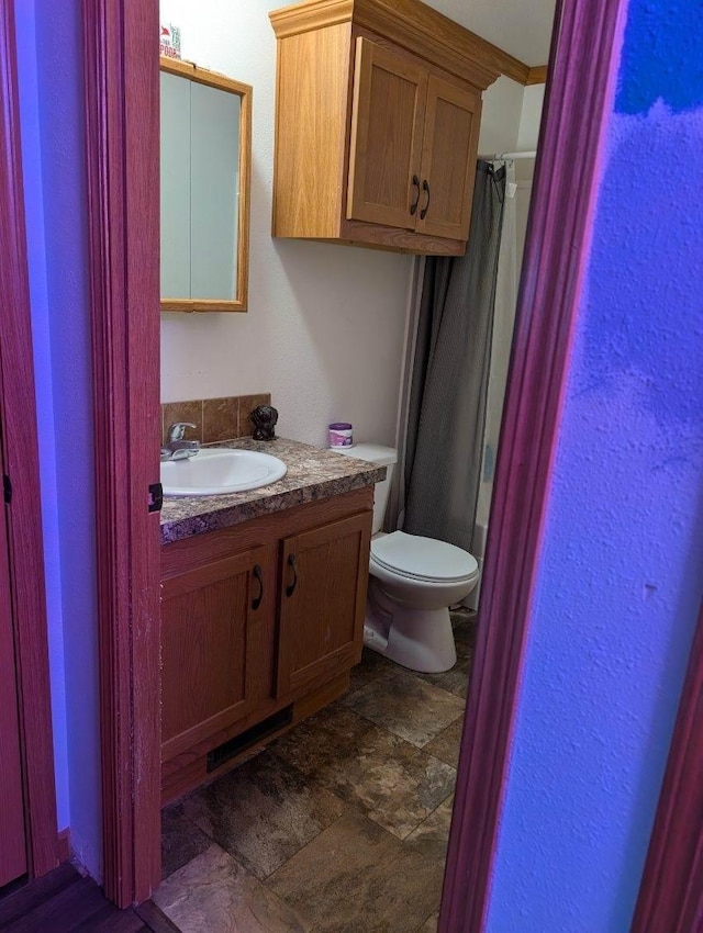 2013 Peregrine Pl NW, Stewartville, MN 55976 - bathroom with vanity, stone finish floor, toilet, and a shower with shower curtain