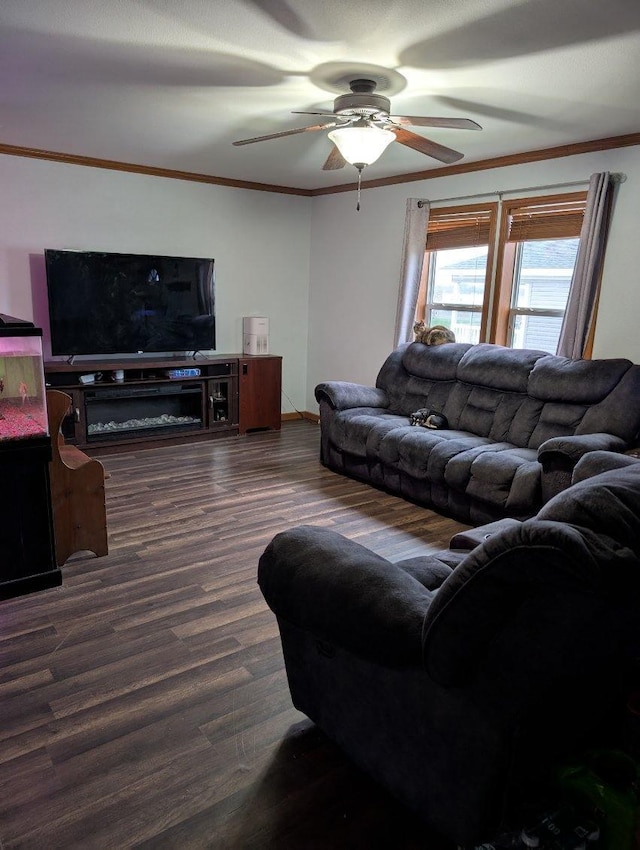 2013 Peregrine Pl NW, Stewartville, MN 55976 - living room with crown molding, a ceiling fan, and dark wood-style floors