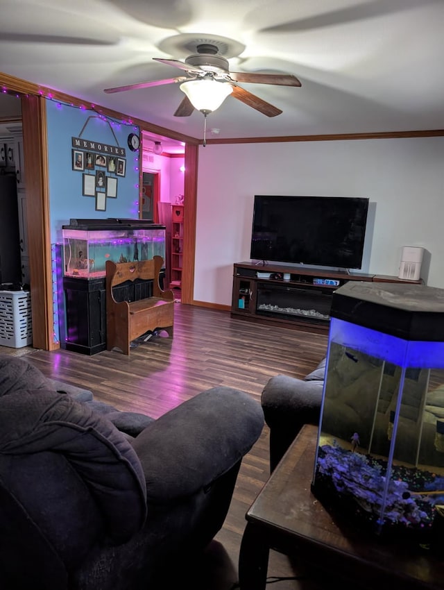2013 Peregrine Pl NW, Stewartville, MN 55976 - living room featuring baseboards, ceiling fan, ornamental molding, and wood finished floors