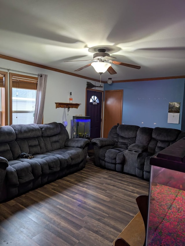 2013 Peregrine Pl NW, Stewartville, MN 55976 - living room featuring crown molding, a ceiling fan, and wood finished floors