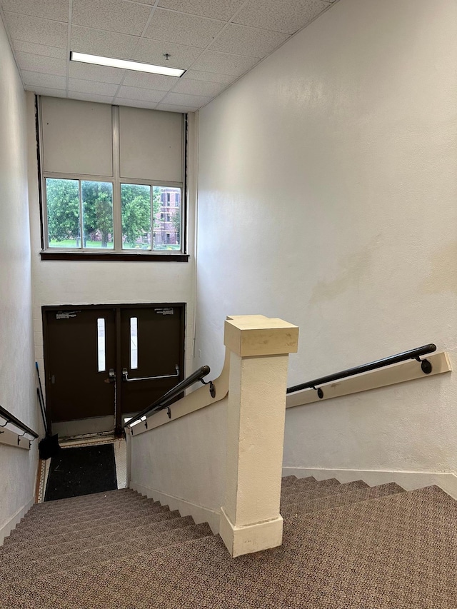 staircase featuring carpet flooring and a paneled ceiling