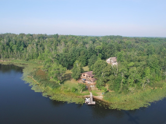 aerial view featuring a water view and a view of trees