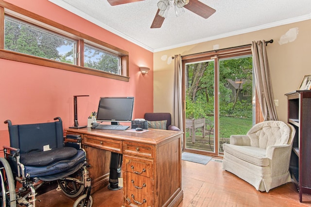 office with a wealth of natural light, ceiling fan, a textured ceiling, and light wood-type flooring