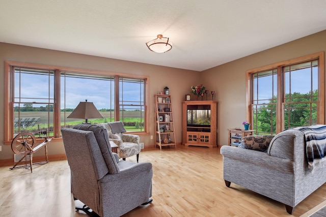 living room featuring light hardwood / wood-style flooring