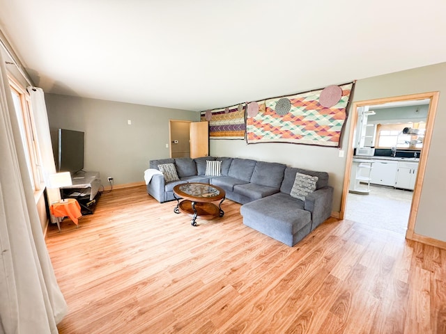 living room with a wealth of natural light and light hardwood / wood-style flooring