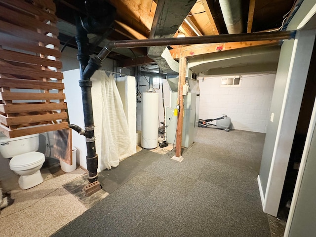 basement with gas water heater