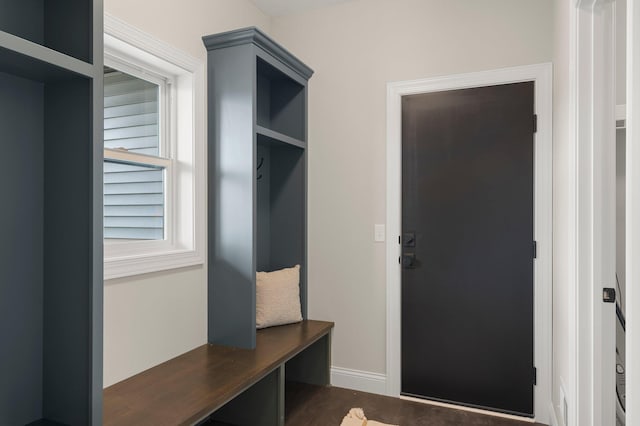 mudroom featuring dark hardwood / wood-style flooring