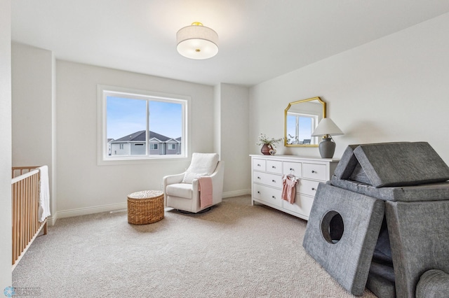 laundry room with carpet floors