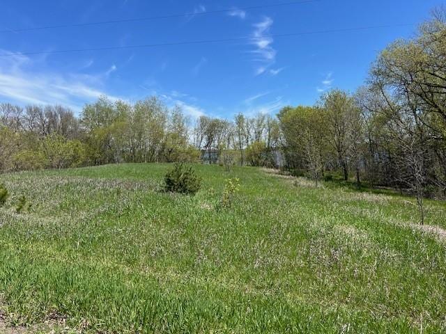 Listing photo 3 for LOT10 Alum Trl, Birchdale Twp MN 56336