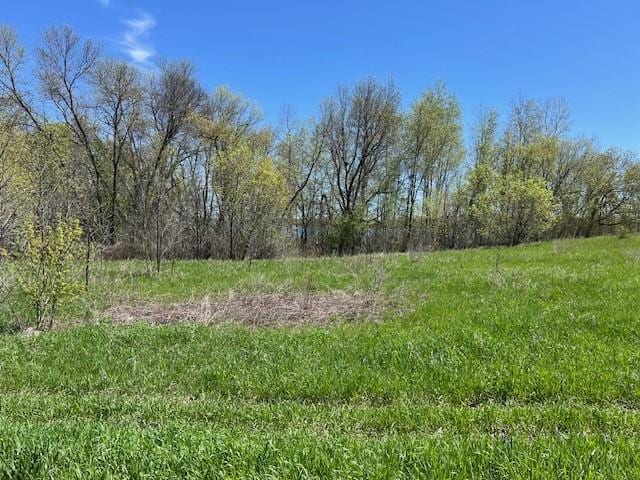 Listing photo 3 for LOT11 Alum Trl, Birchdale Twp MN 56336