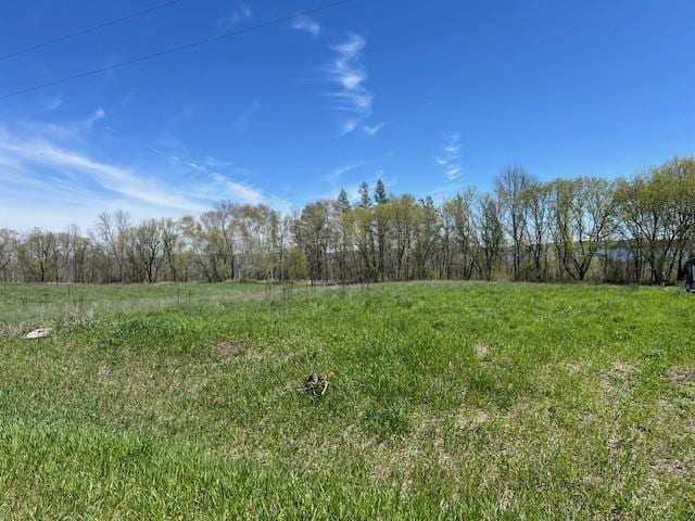 Listing photo 3 for LOT14 Alum Trl, Birchdale Twp MN 56336