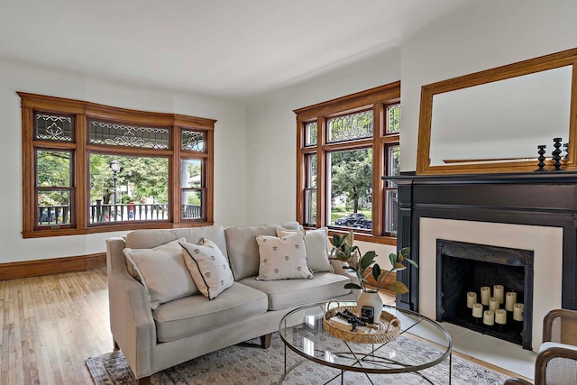 living room featuring light hardwood / wood-style flooring