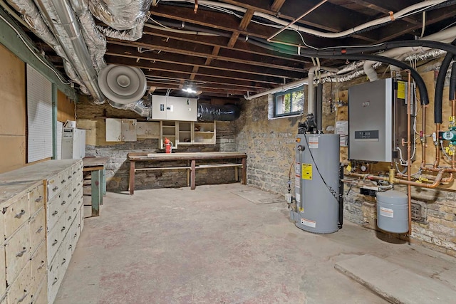 basement featuring gas water heater