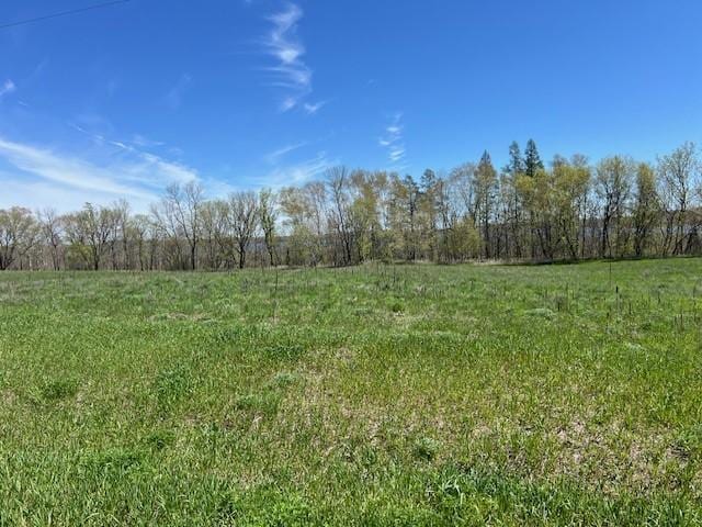 Listing photo 3 for LOT15 Alum Trl, Birchdale Twp MN 56336