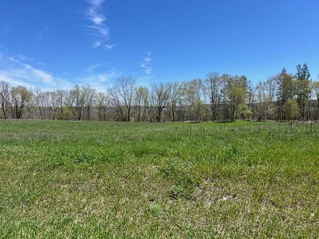 Listing photo 3 for LOT16 Alum Trl, Birchdale Twp MN 56336