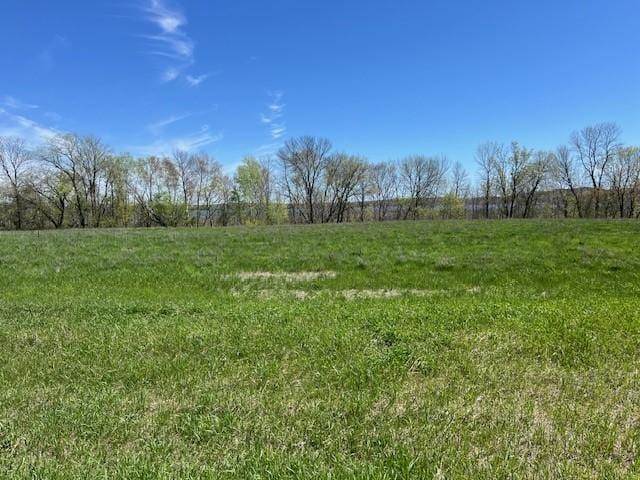 Listing photo 3 for LOT17 Alum Trl, Birchdale Twp MN 56336