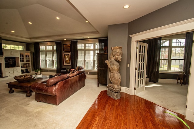 living room with hardwood / wood-style flooring and a tray ceiling