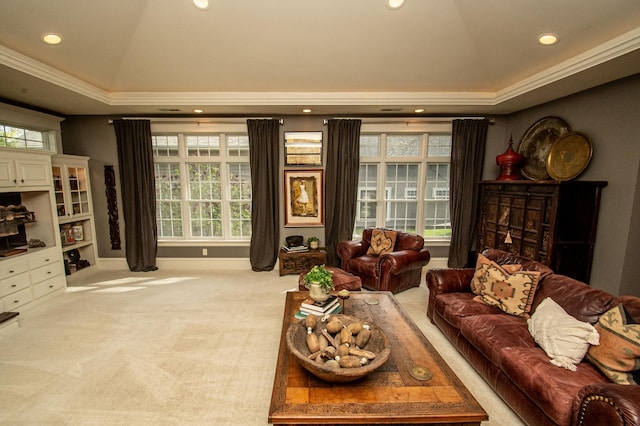 carpeted living room with ornamental molding and a raised ceiling