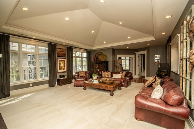 carpeted living room with a raised ceiling and a wealth of natural light