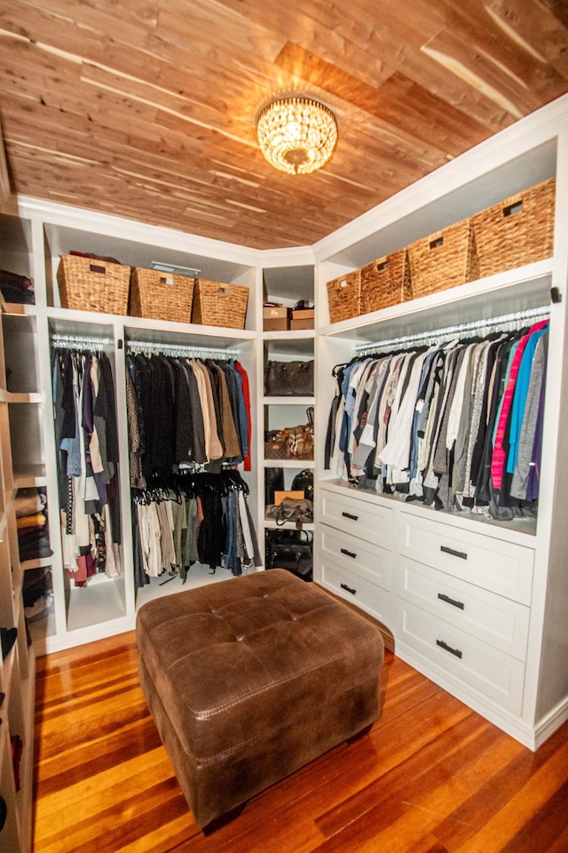 spacious closet with hardwood / wood-style floors